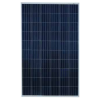 Panel Surya 270 WP SKY Energy